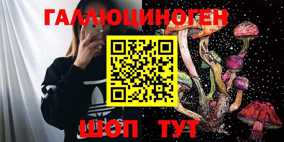 Галлюциногенные грибы Psilocybe Самара